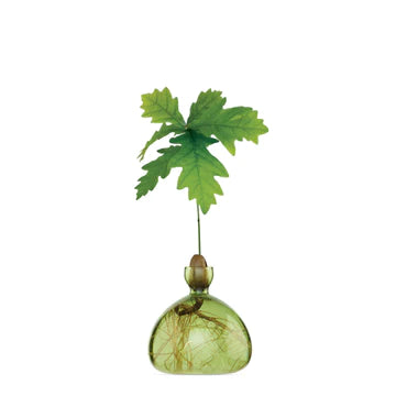 ACORN BUD VASE IN GRASS GREEN