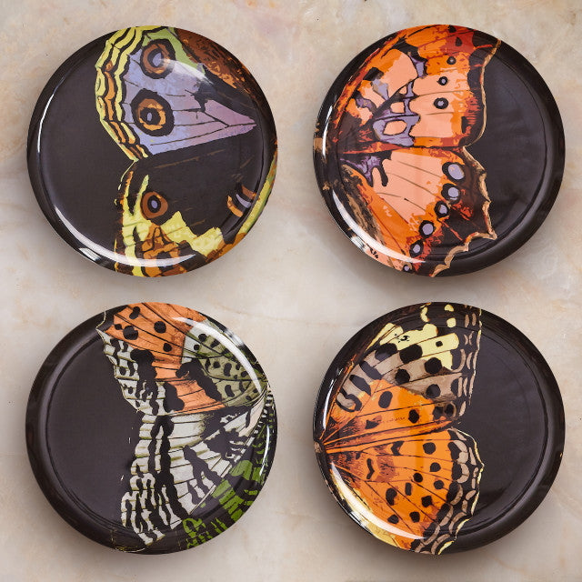 METAMORPHOSIS DINNER PLATES, SET OF 4