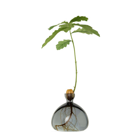 ACORN BUD VASE IN  SMOKE